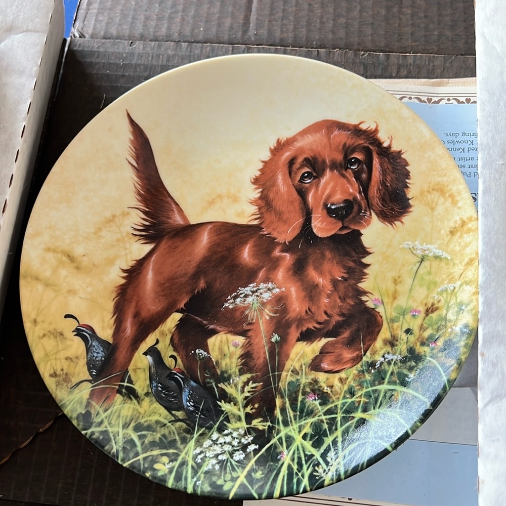 Vintage Edwin M Knowles China “Missing the a point - The Irish Setter”